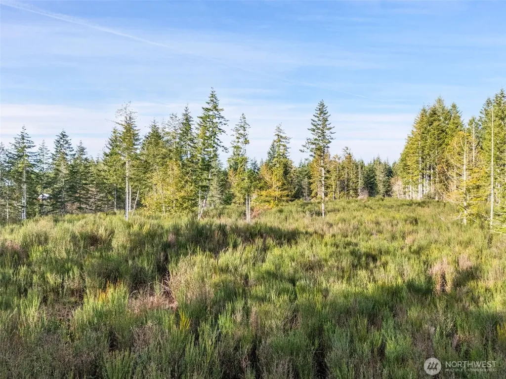 0 E Pickering Road Shelton WA 98584
