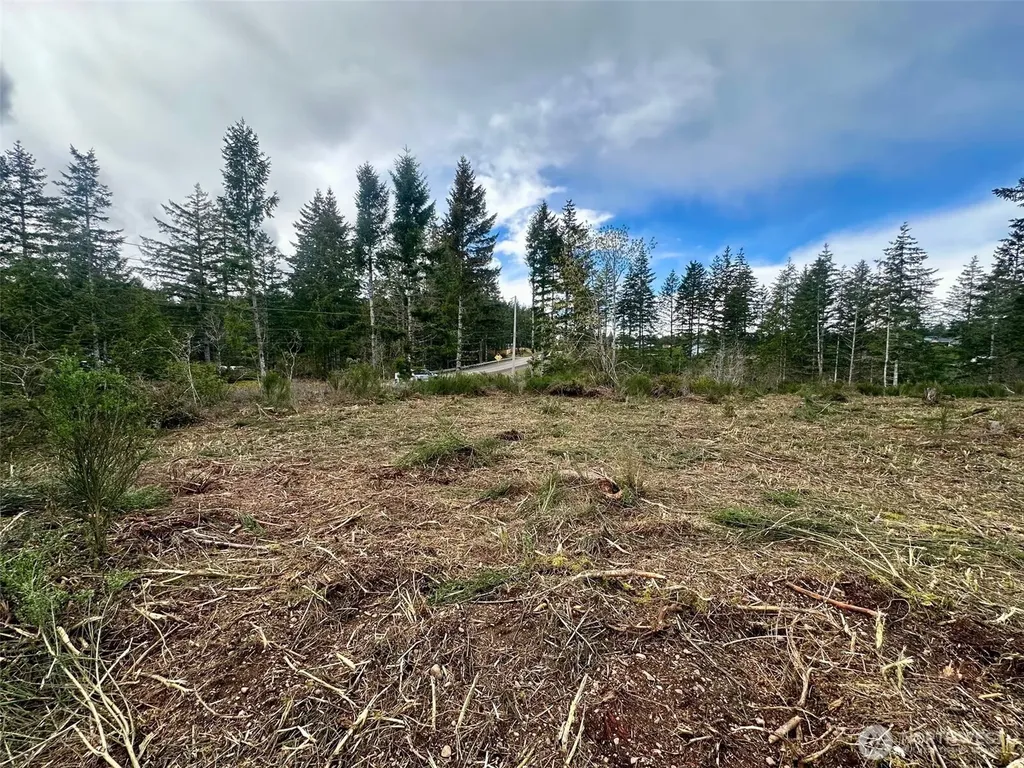 0 E Pickering Road Shelton WA 98584