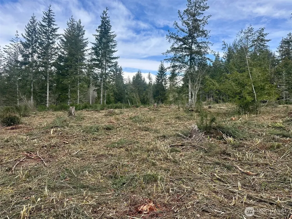 0 E Pickering Road Shelton WA 98584