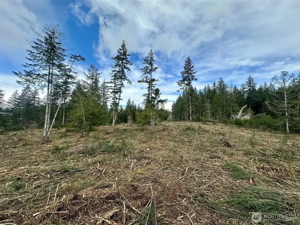 0 E Pickering Road Shelton WA 98584