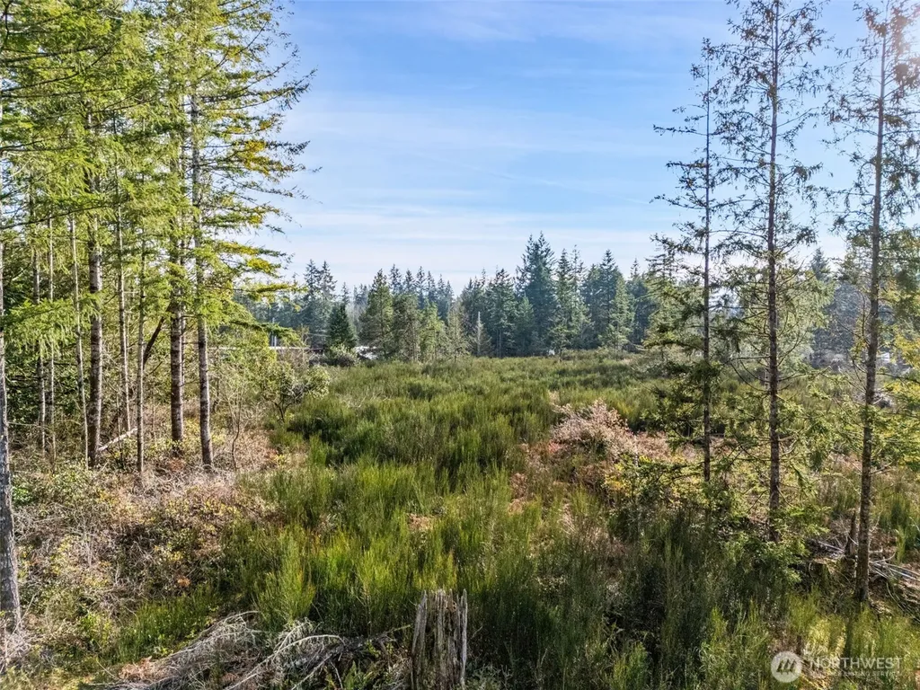 0 E Pickering Road Shelton WA 98584
