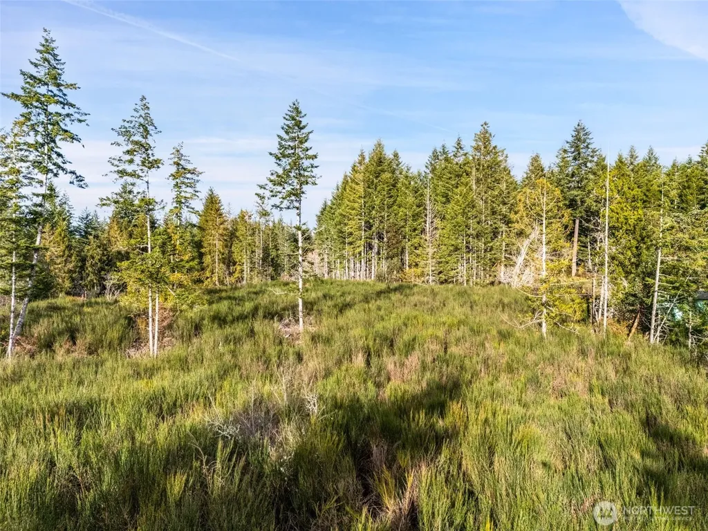 0 E Pickering Road Shelton WA 98584