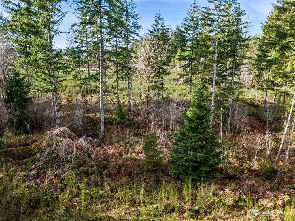 0 E Pickering Road Shelton WA 98584