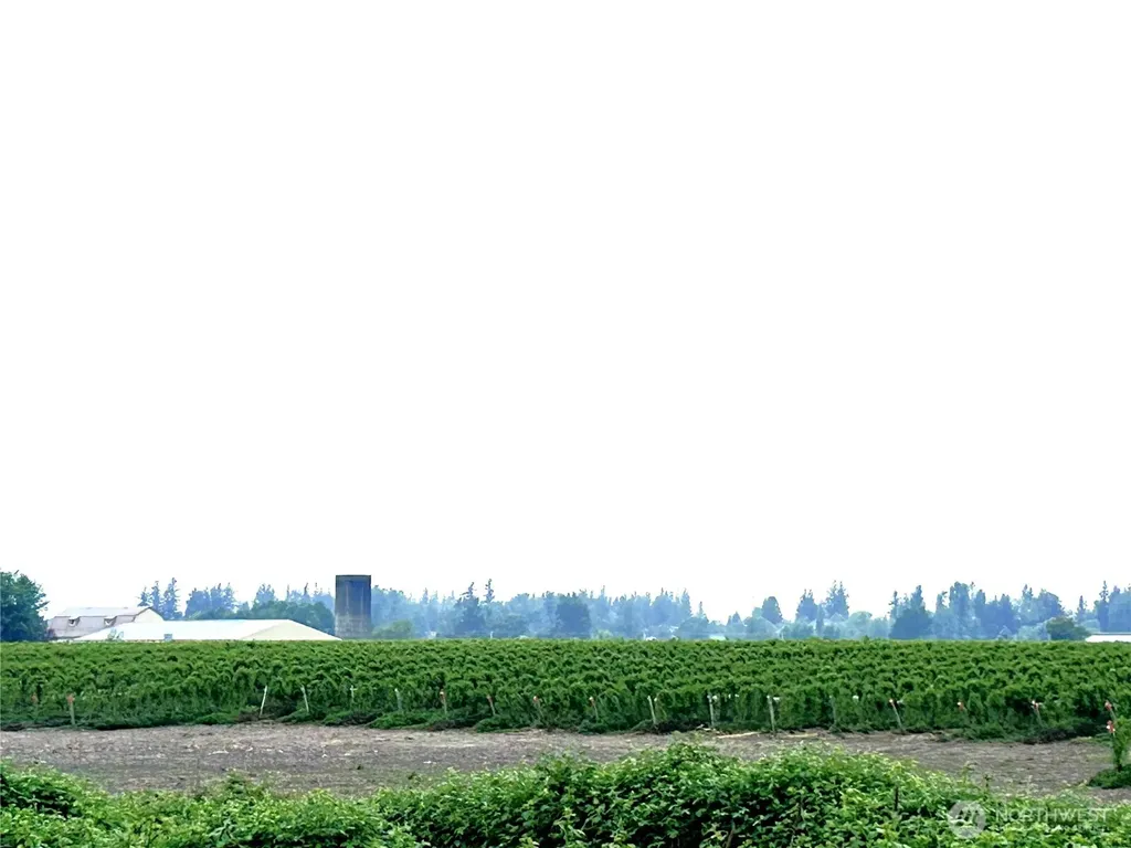 1766 Hampton Road Everson WA 98247