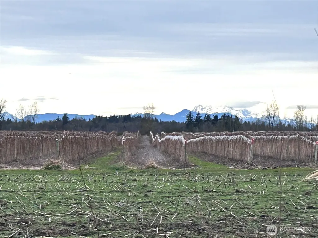 1766 Hampton Road Everson WA 98247