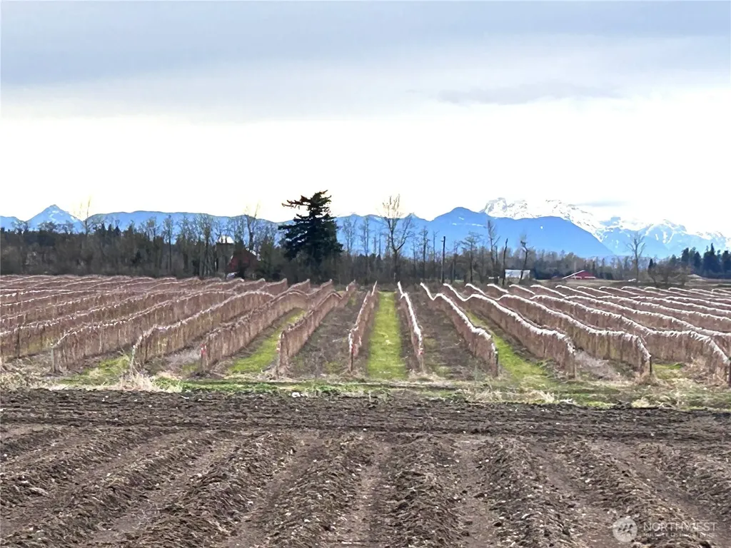 1766 Hampton Road Everson WA 98247