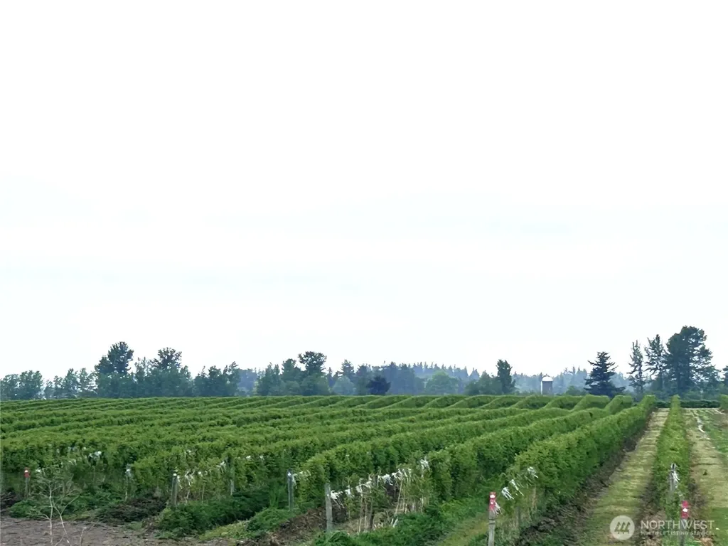 1766 Hampton Road Everson WA 98247