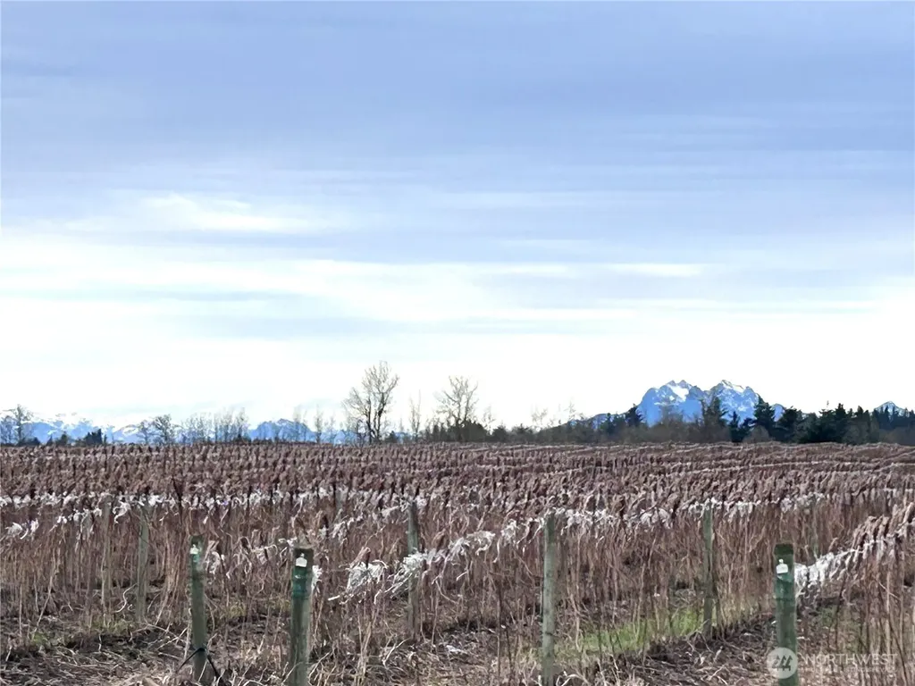 1766 Hampton Road Everson WA 98247