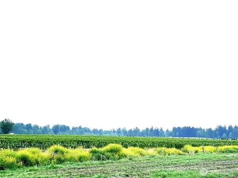 1766 Hampton Road Everson WA 98247