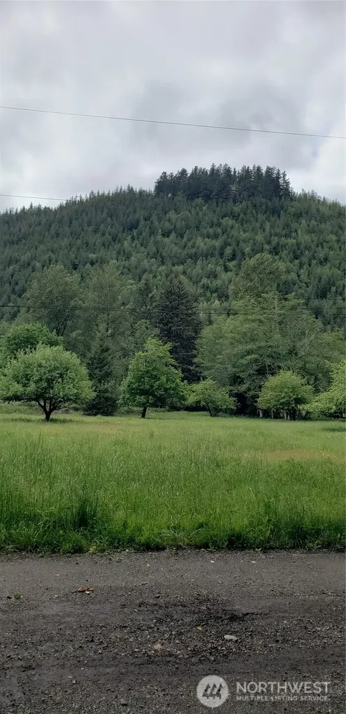 32 SE 341st Street Enumclaw WA 98051