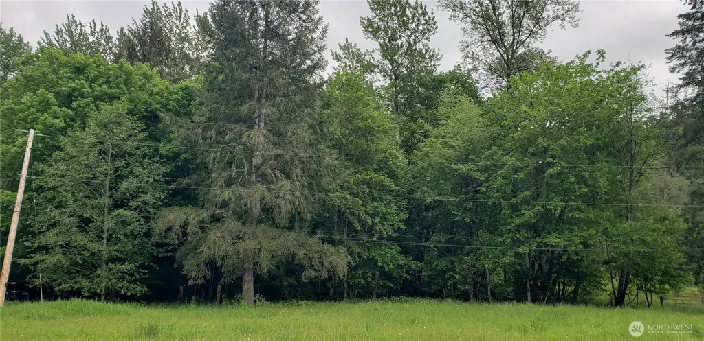 32 SE 341st Street Enumclaw WA 98051