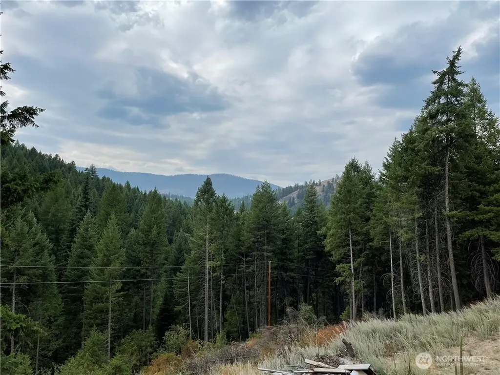 57 Slippery Hill Lane Republic WA 99166