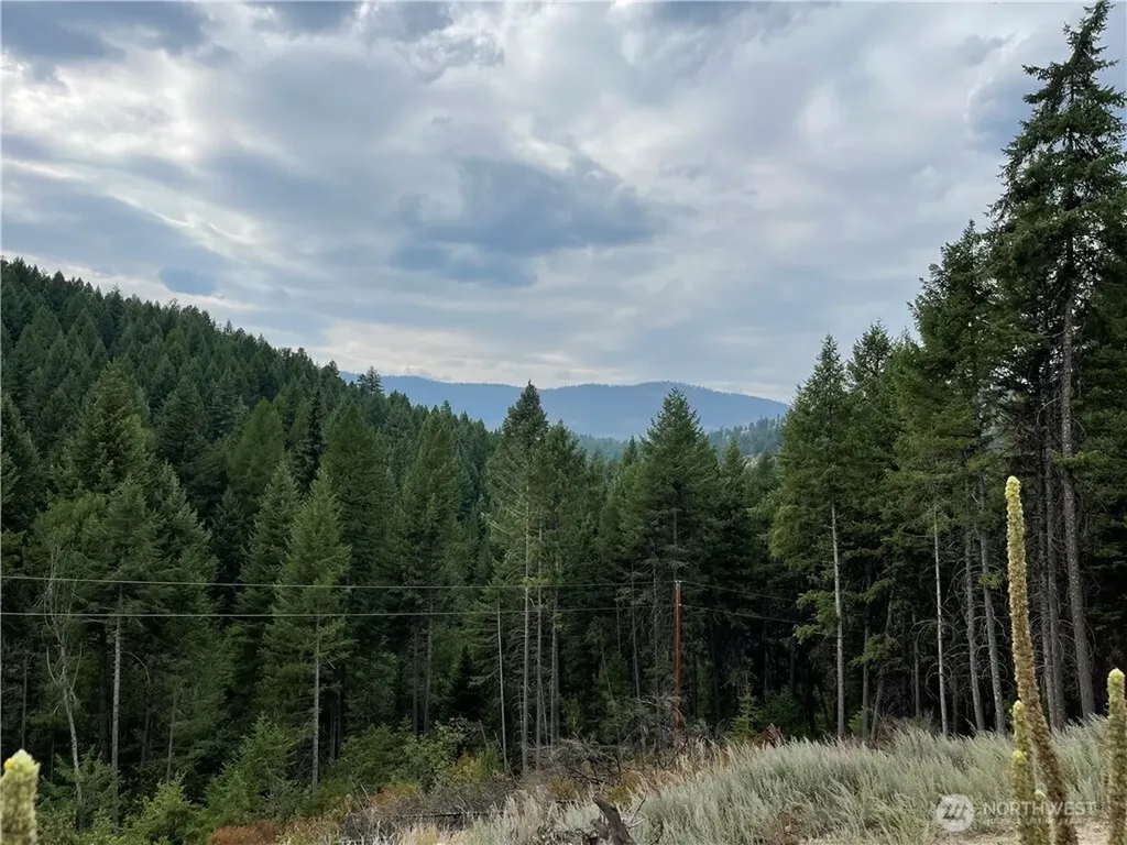 57 Slippery Hill Lane Republic WA 99166