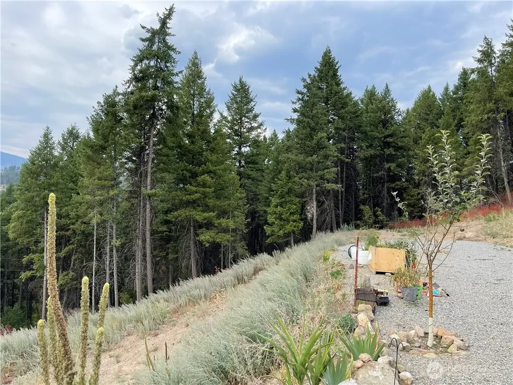 57 Slippery Hill Lane Republic WA 99166