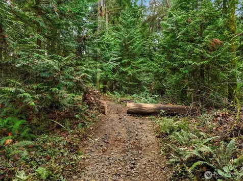 9351 Moss Lane NE Bainbridge Island WA 98110