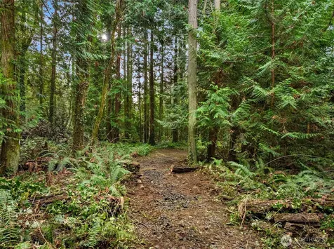 9351 Moss Lane NE Bainbridge Island WA 98110