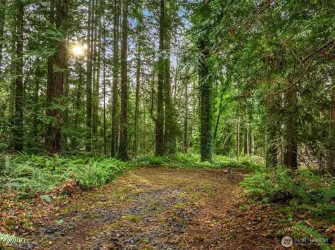 9351 Moss Lane NE Bainbridge Island WA 98110