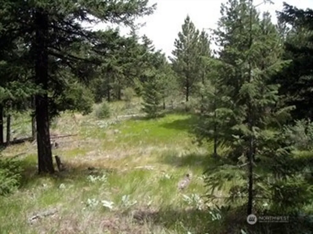 0 Mule Deer Road Waterville WA 98858