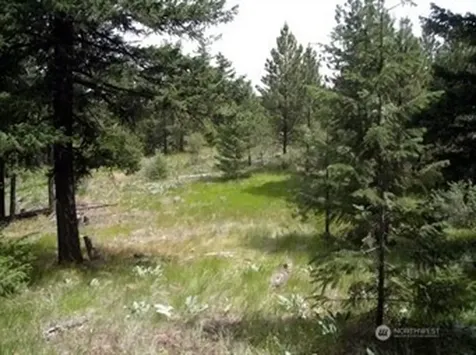 0 Mule Deer Road Waterville WA 98858