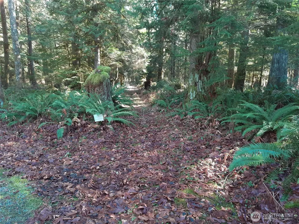9306 Dandy Place Rockport WA 98283