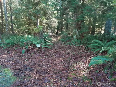 9306 Dandy Place Rockport WA 98283
