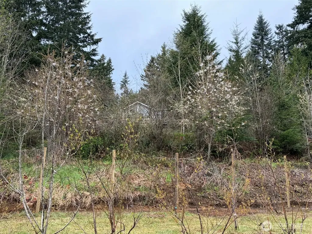 185 Wilderness Drive Randle WA 98377
