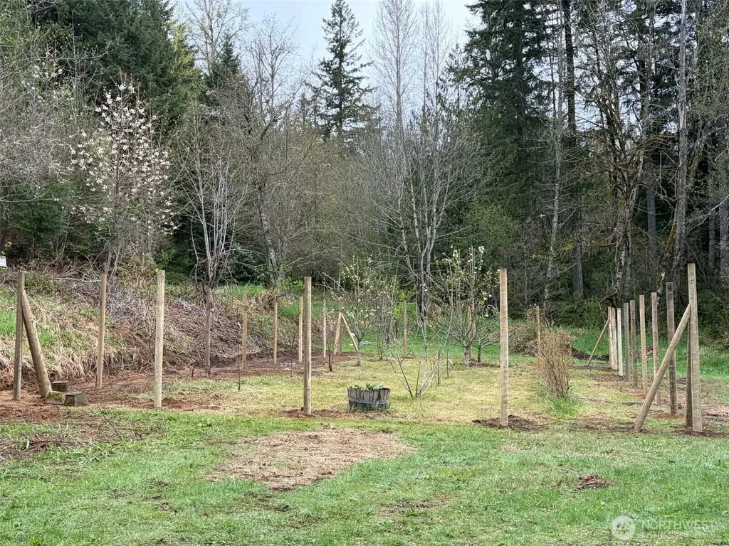 185 Wilderness Drive Randle WA 98377