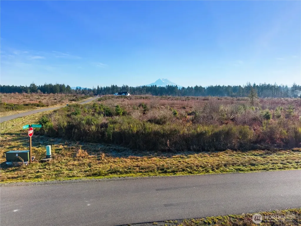 1944 330th Street Ct E Roy WA 98580