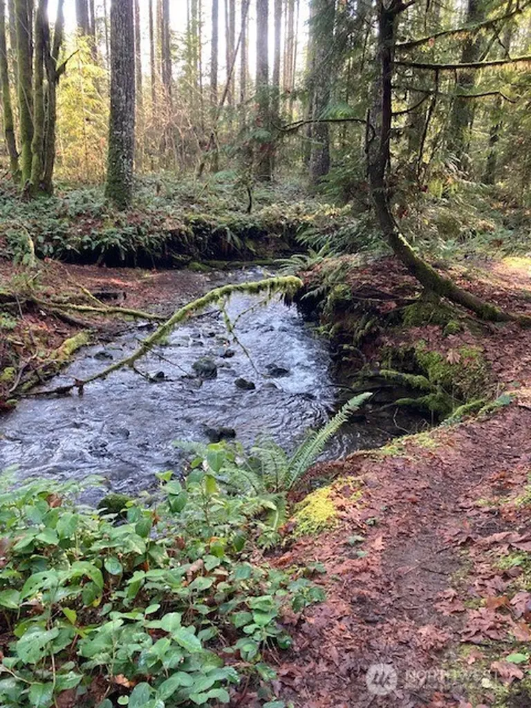 320 N Mt Jupiter Drive Hoodsport WA 98548