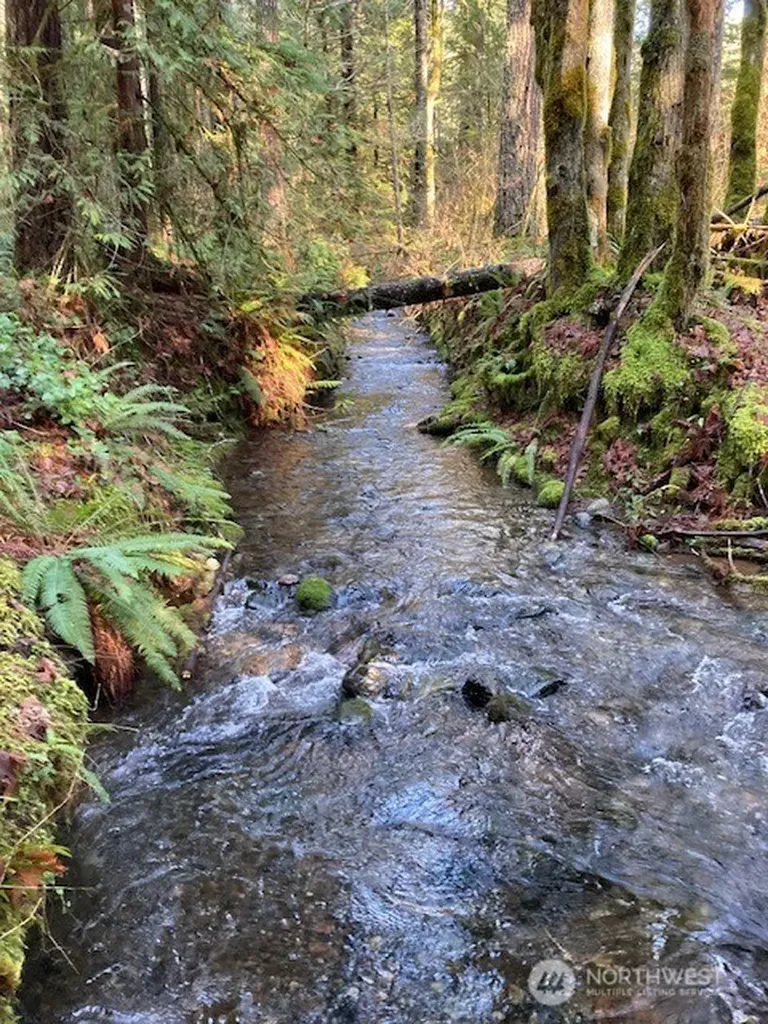 320 N Mt Jupiter Drive Hoodsport WA 98548