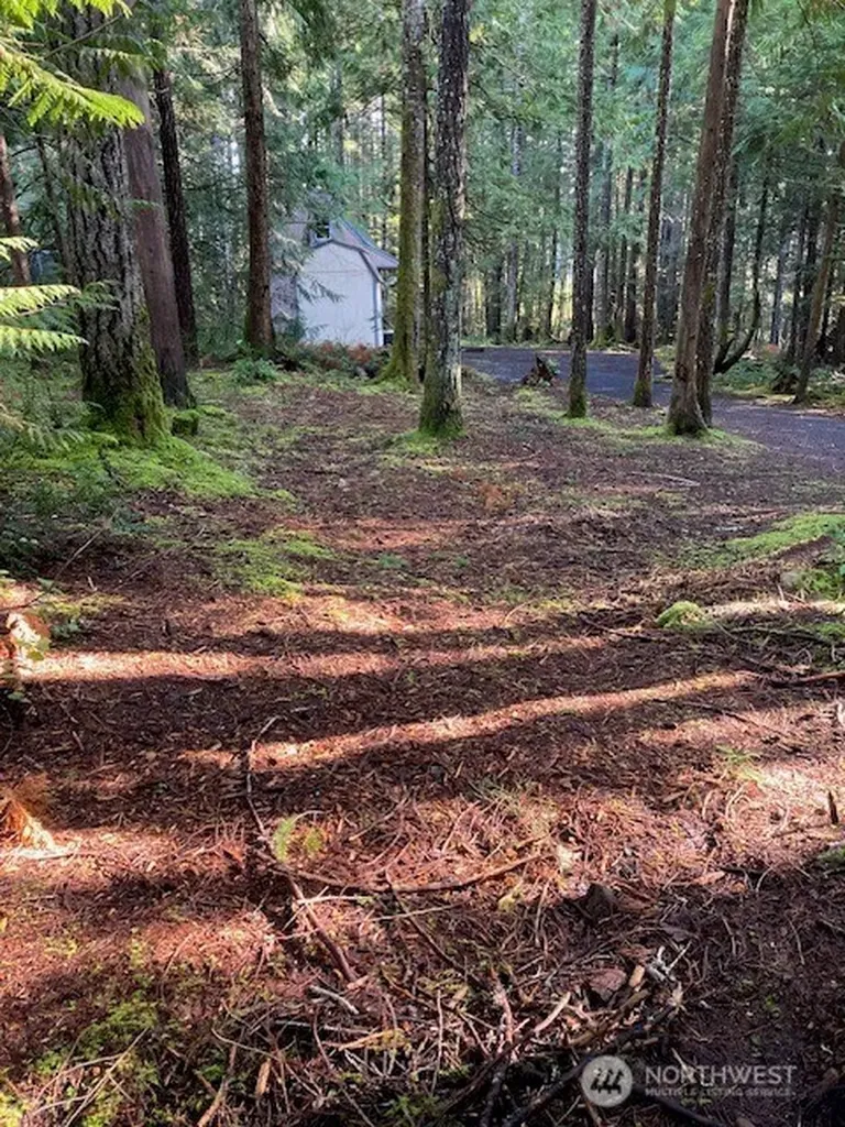 320 N Mt Jupiter Drive Hoodsport WA 98548