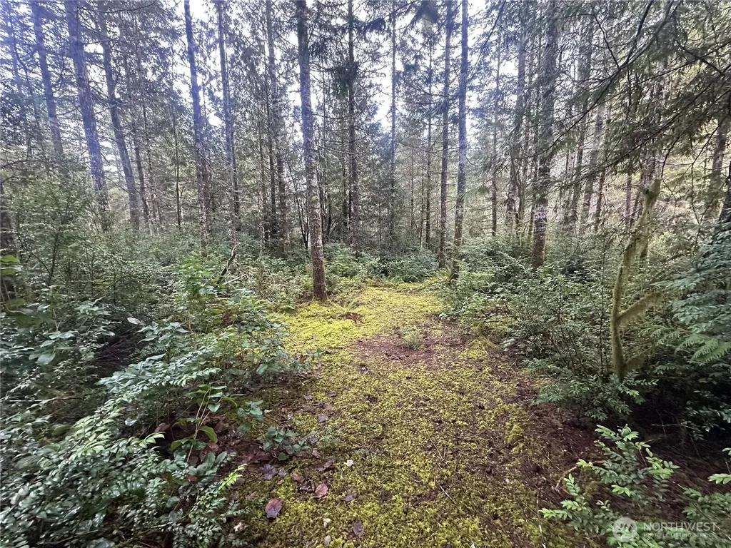 0 Willchar Boulevard Shelton WA 98584