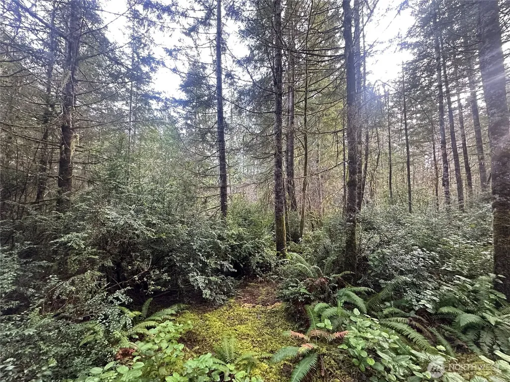 0 Willchar Boulevard Shelton WA 98584
