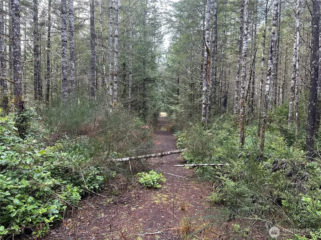 0 Willchar Boulevard Shelton WA 98584