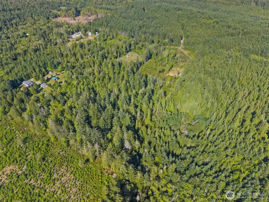 2561 E Harstine Island Road N Shelton WA 98584