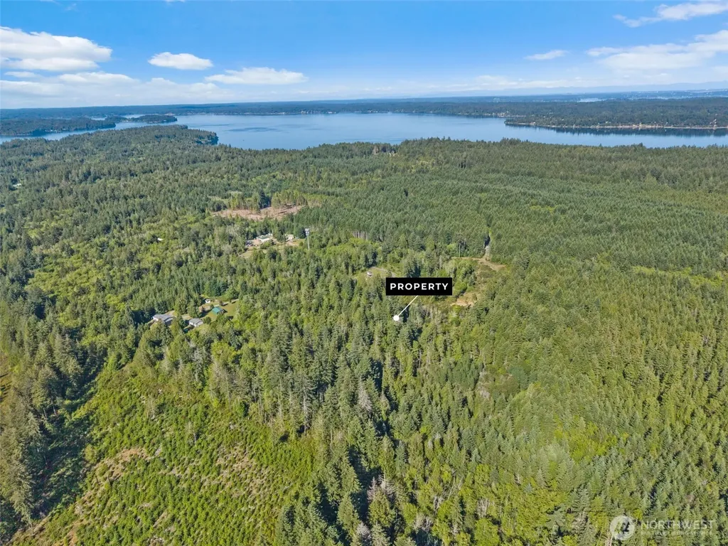 2561 E Harstine Island Road N Shelton WA 98584