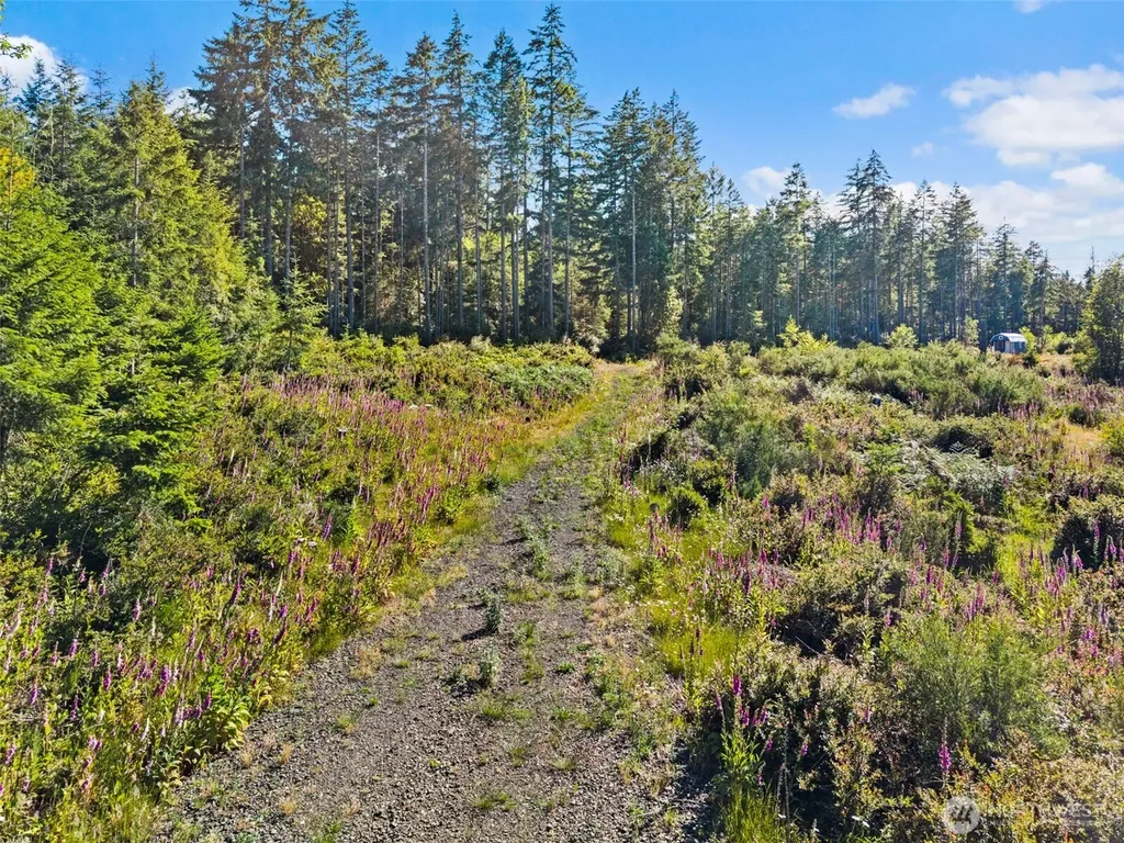 2561 E Harstine Island Road N Shelton WA 98584