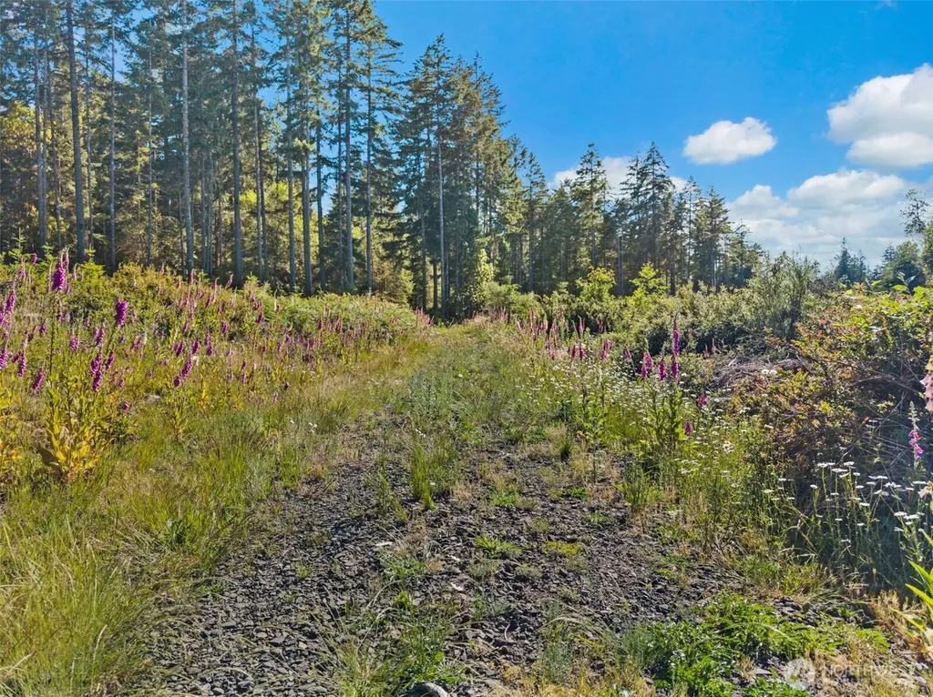 2561 E Harstine Island Road N Shelton WA 98584