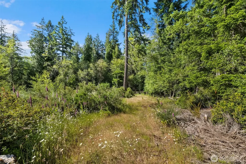 2561 E Harstine Island Road N Shelton WA 98584