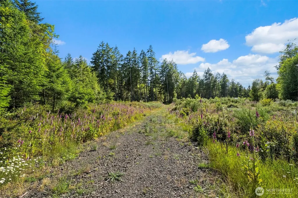2561 E Harstine Island Road N Shelton WA 98584