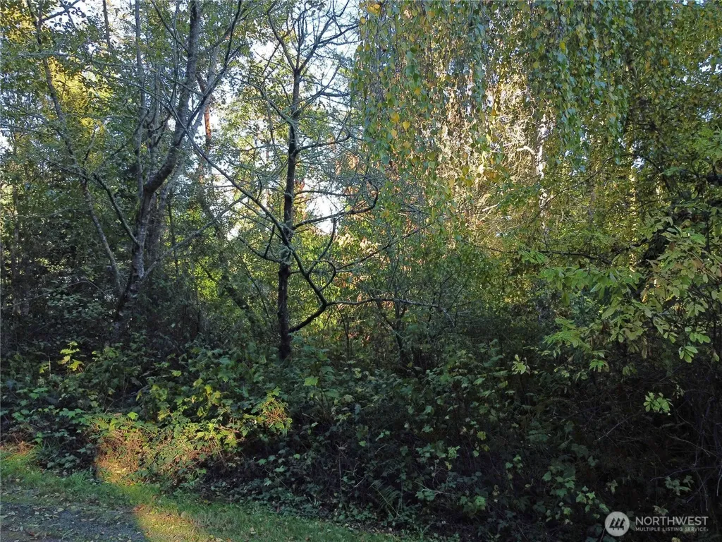 0 Lylus Lane Port Hadlock WA 98339