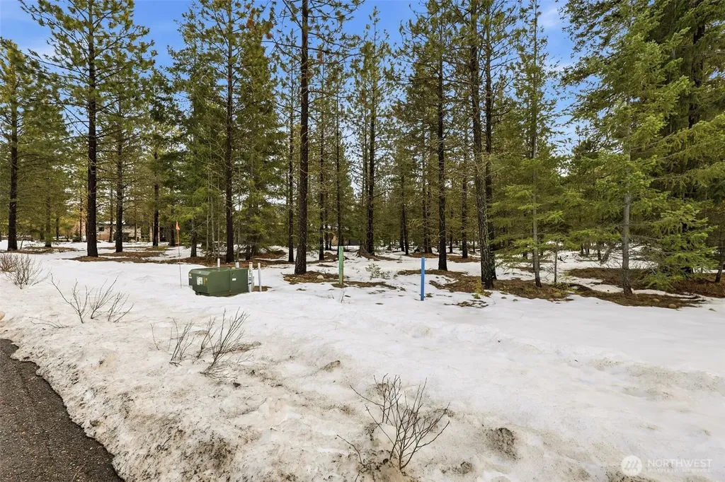 15 Gold Leaf Lane Cle Elum WA 98922