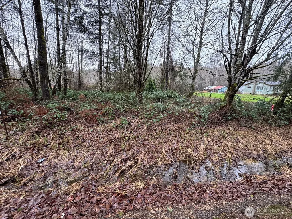 1359 Mox Chehalis Road Mccleary WA 98557