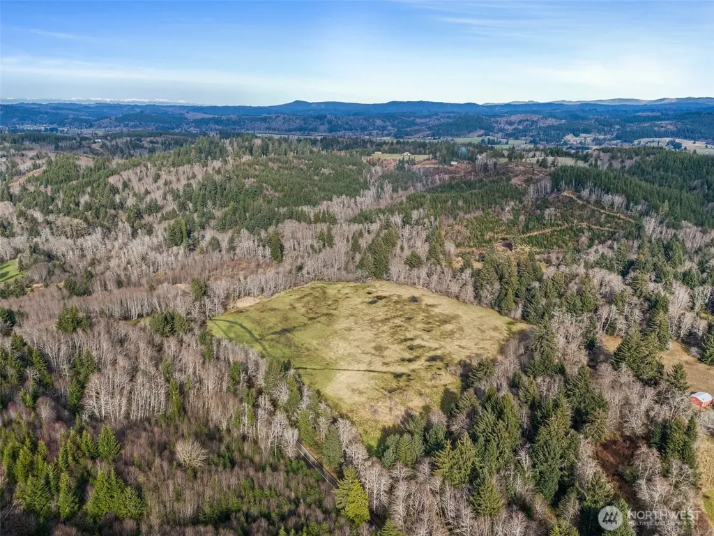 0 Rue Creek Road Raymond WA 98577