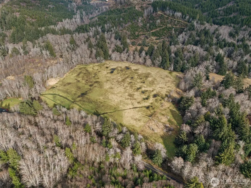 0 Rue Creek Road Raymond WA 98577