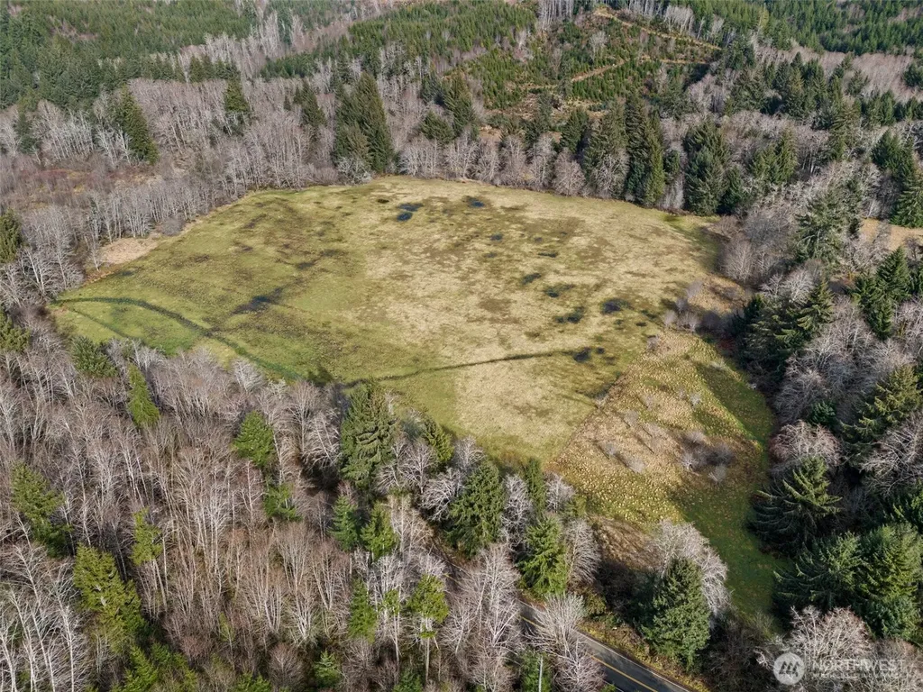 0 Rue Creek Road Raymond WA 98577