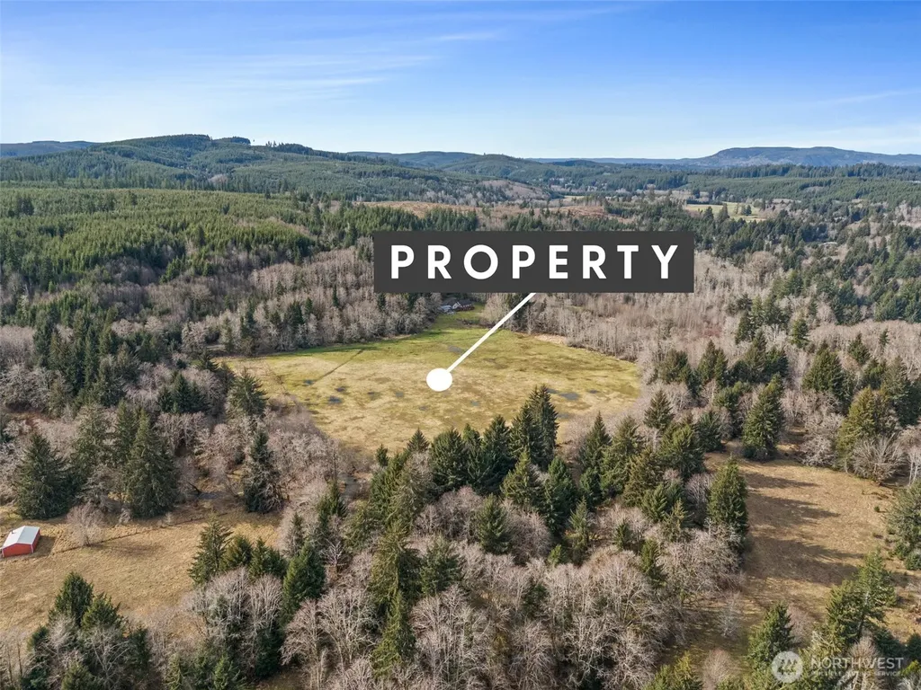 0 Rue Creek Road Raymond WA 98577