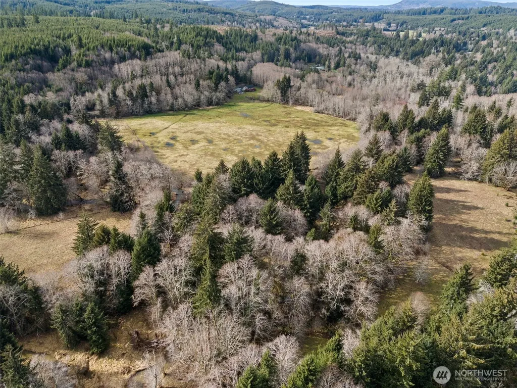 0 Rue Creek Road Raymond WA 98577