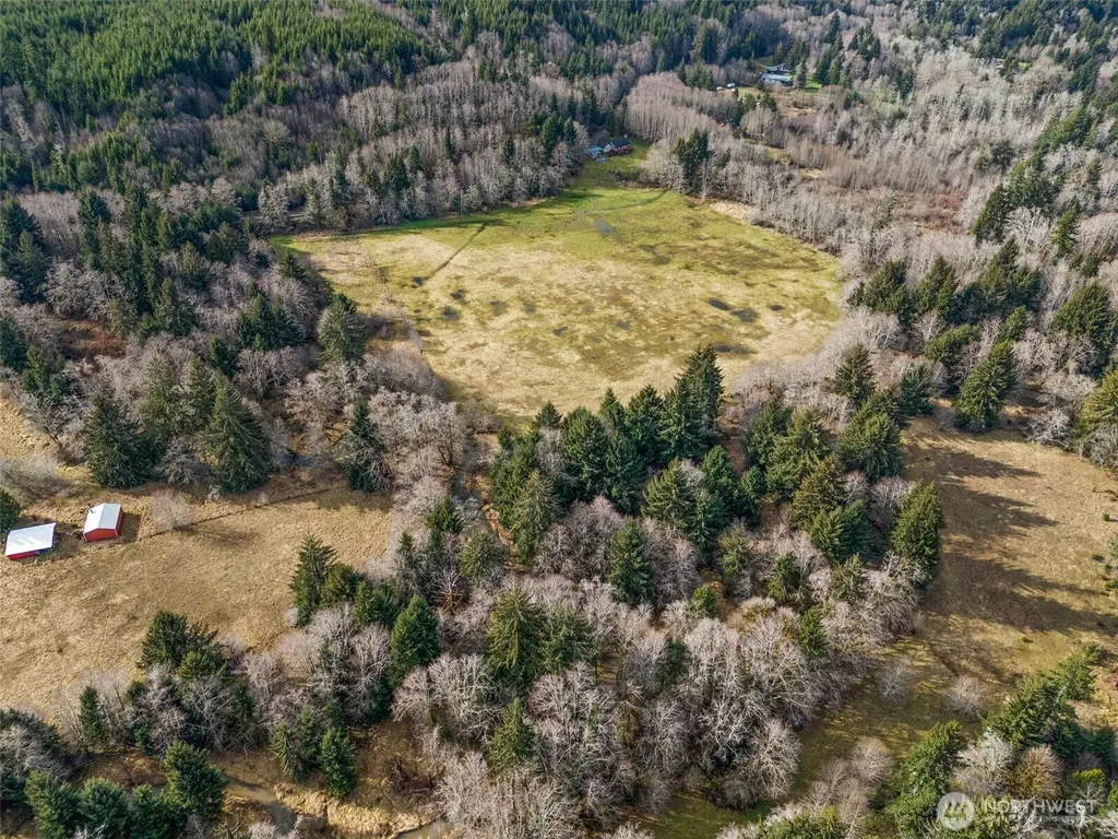 0 Rue Creek Road Raymond WA 98577
