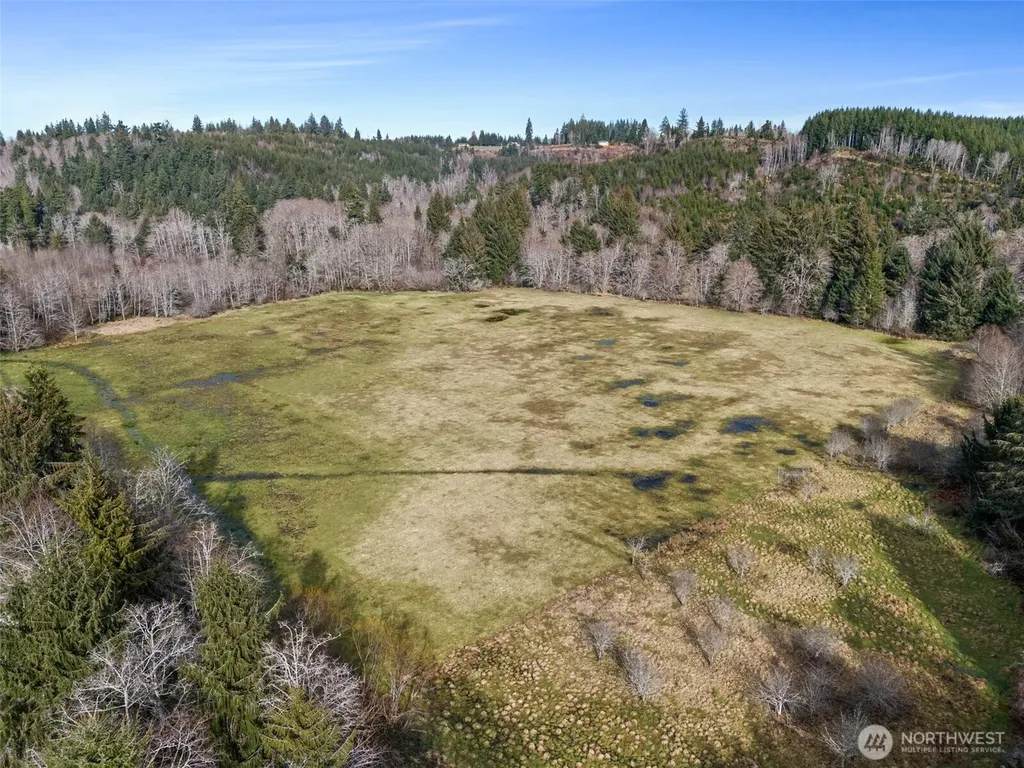 0 Rue Creek Road Raymond WA 98577
